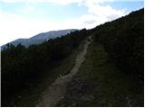 Planina Ravne - Kocbekov dom na Korošici